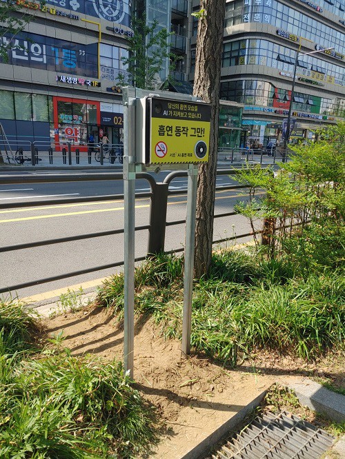 0.jpg